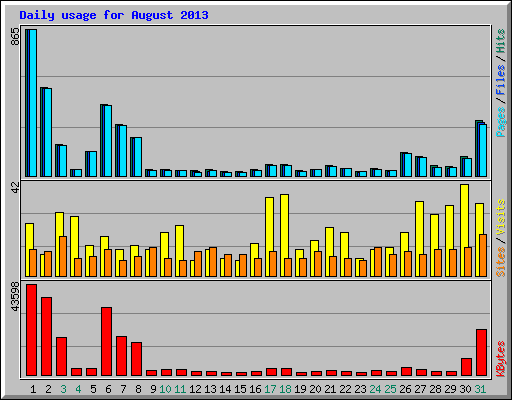 Daily usage for August 2013
