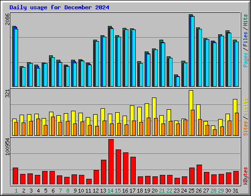Daily usage for December 2024