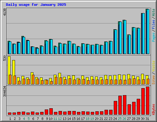 Daily usage for January 2025