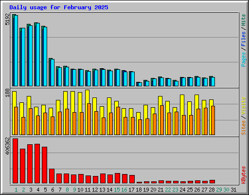 Daily usage for February 2025