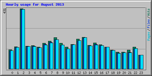 Hourly usage for August 2013