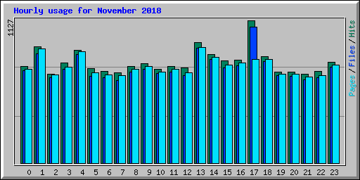Hourly usage for November 2018