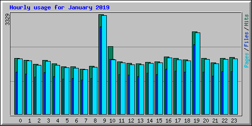 Hourly usage for January 2019