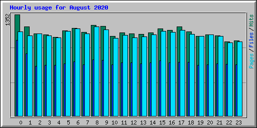 Hourly usage for August 2020