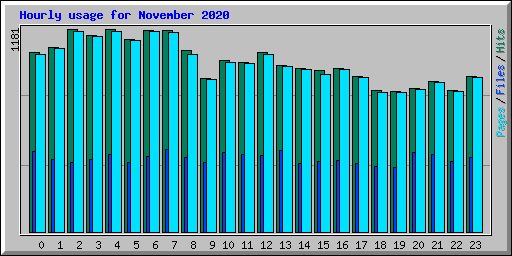 Hourly usage for November 2020