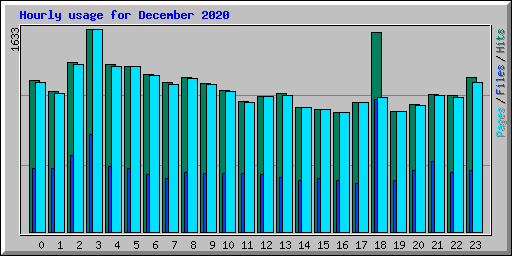 Hourly usage for December 2020