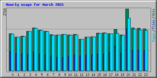Hourly usage for March 2021