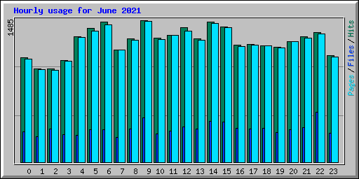 Hourly usage for June 2021