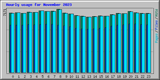Hourly usage for November 2023