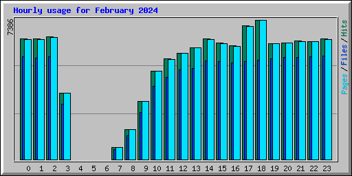Hourly usage for February 2024