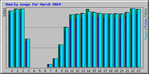 Hourly usage for March 2024