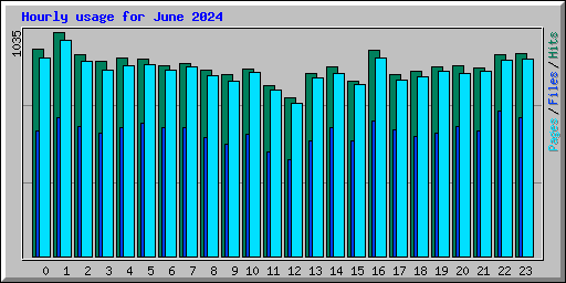 Hourly usage for June 2024
