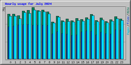 Hourly usage for July 2024