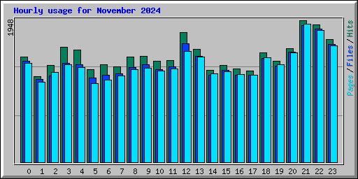 Hourly usage for November 2024