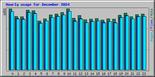 Hourly usage for December 2024