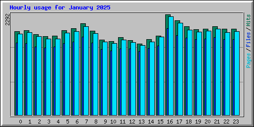 Hourly usage for January 2025