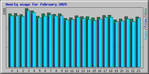 Hourly usage for February 2025