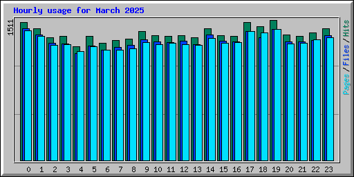 Hourly usage for March 2025