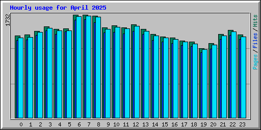 Hourly usage for April 2025