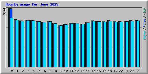 Hourly usage for June 2025