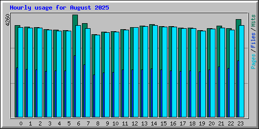 Hourly usage for August 2025