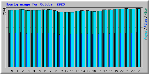 Hourly usage for October 2025