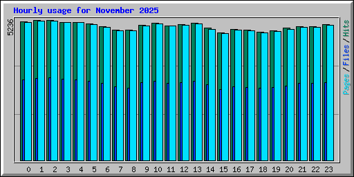 Hourly usage for November 2025