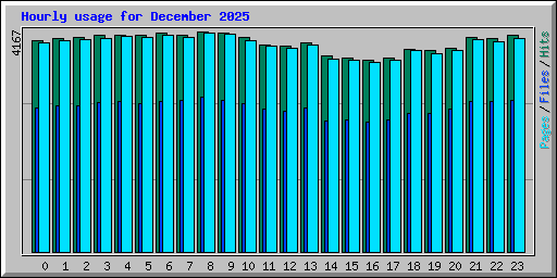 Hourly usage for December 2025