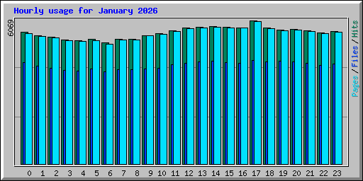 Hourly usage for January 2026