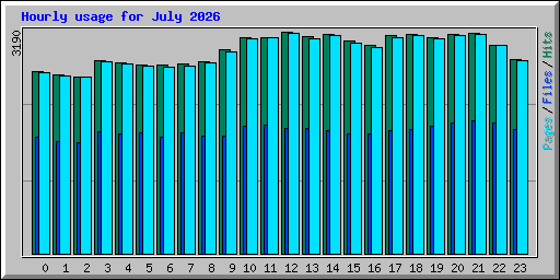 Hourly usage for July 2026