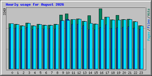 Hourly usage for August 2026